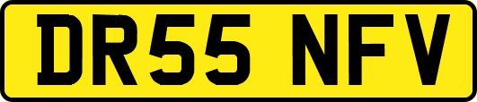 DR55NFV