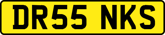 DR55NKS