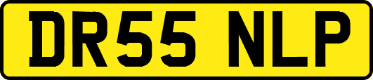 DR55NLP