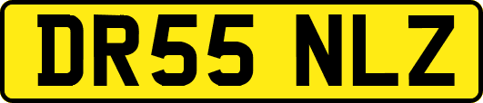 DR55NLZ