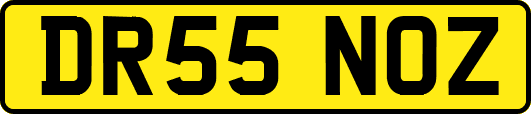 DR55NOZ