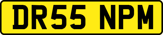 DR55NPM