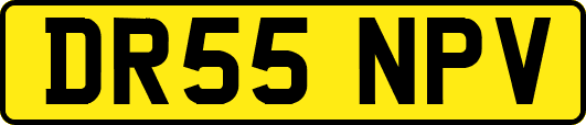 DR55NPV