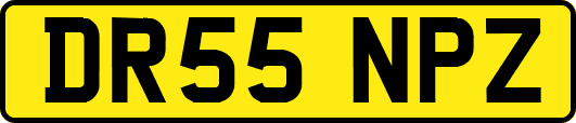 DR55NPZ