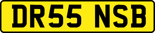DR55NSB