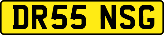 DR55NSG