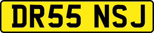 DR55NSJ