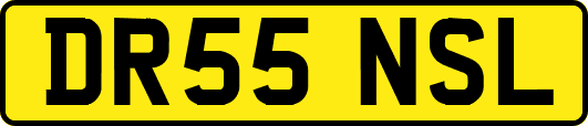 DR55NSL