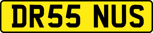 DR55NUS