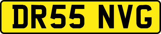 DR55NVG