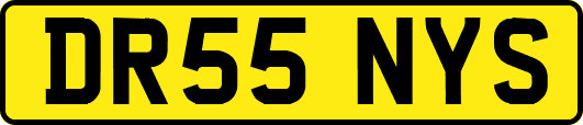 DR55NYS
