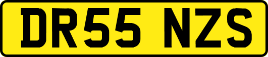 DR55NZS