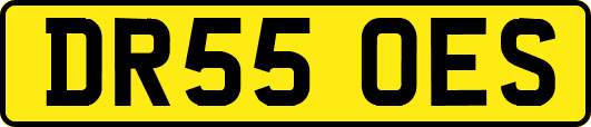 DR55OES
