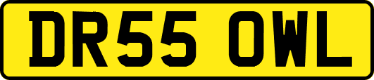 DR55OWL