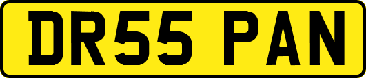 DR55PAN