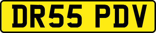 DR55PDV