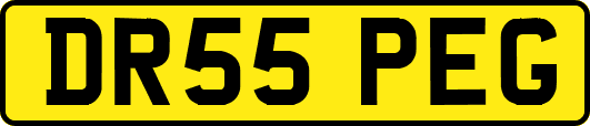 DR55PEG