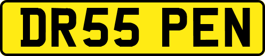 DR55PEN