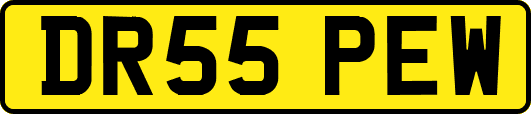 DR55PEW