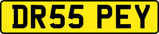 DR55PEY
