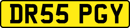 DR55PGY