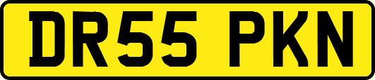 DR55PKN