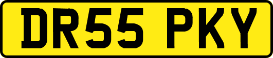 DR55PKY