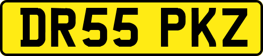 DR55PKZ