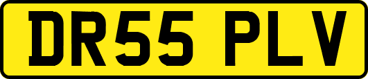 DR55PLV
