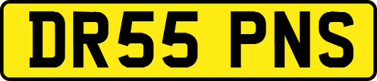 DR55PNS