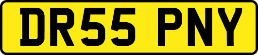 DR55PNY