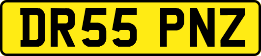DR55PNZ