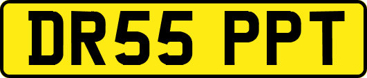 DR55PPT