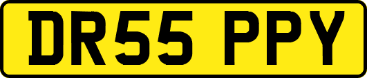 DR55PPY
