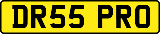 DR55PRO