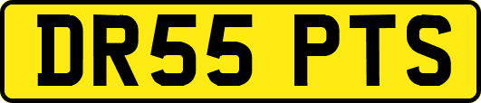 DR55PTS