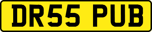DR55PUB