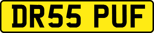DR55PUF