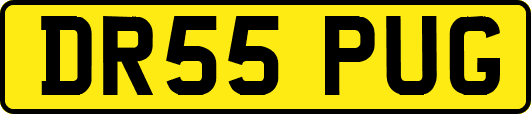 DR55PUG