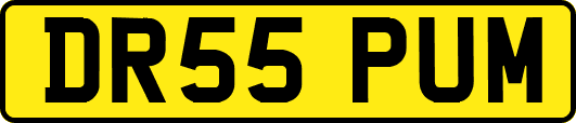 DR55PUM