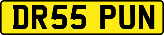 DR55PUN
