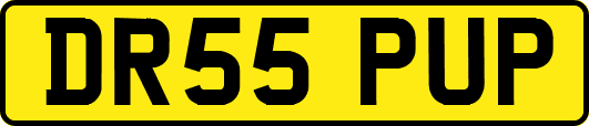 DR55PUP