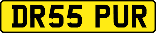 DR55PUR