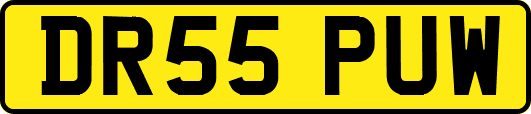 DR55PUW