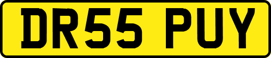 DR55PUY