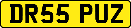 DR55PUZ