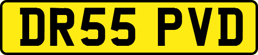 DR55PVD