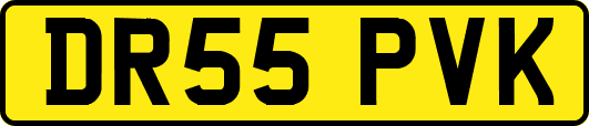 DR55PVK