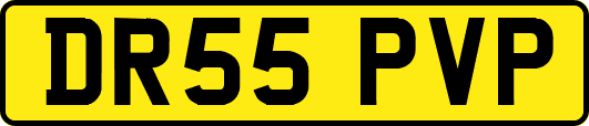 DR55PVP