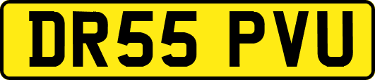 DR55PVU